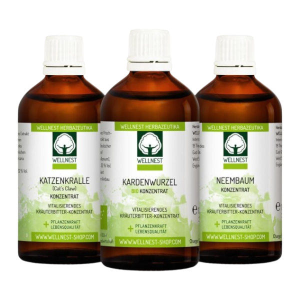 Wellnest Immunpaket (Karde, Katzenkralle, Neem)