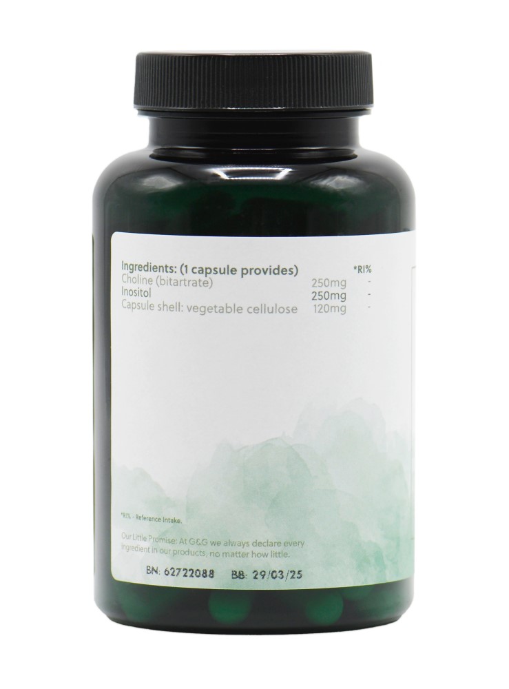 choline_inositol_supplement_MAIN-1