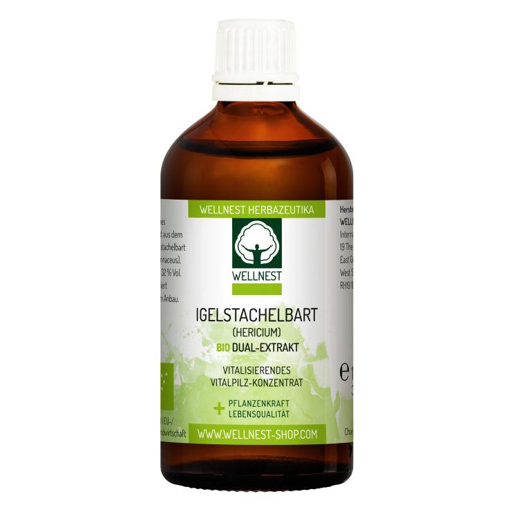 Igelstachelbart (Hericum)