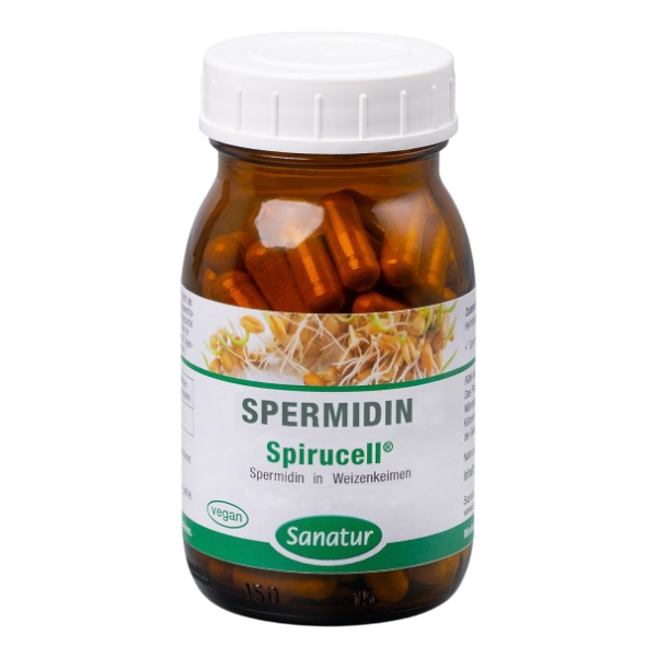Spermidin Kapseln