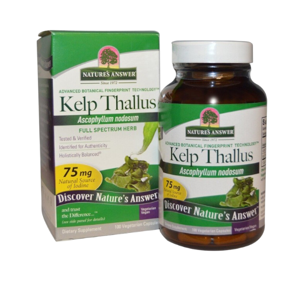 Kelp Thallus
