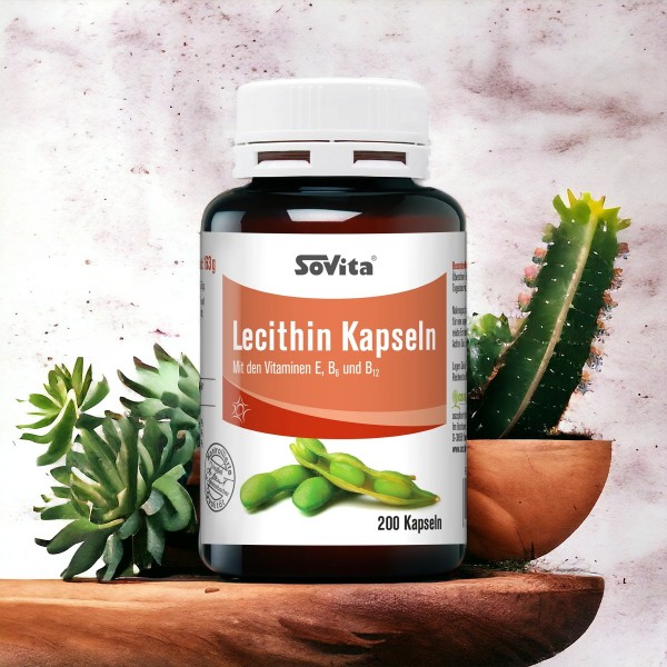 Lecithin 500 mg