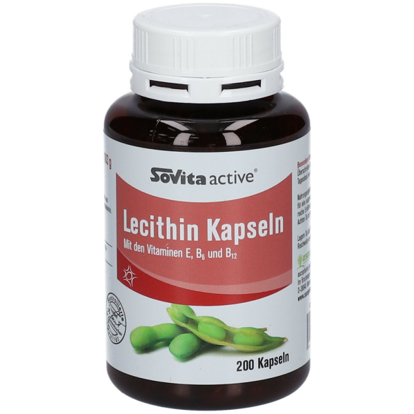 Lecithin 500 mg